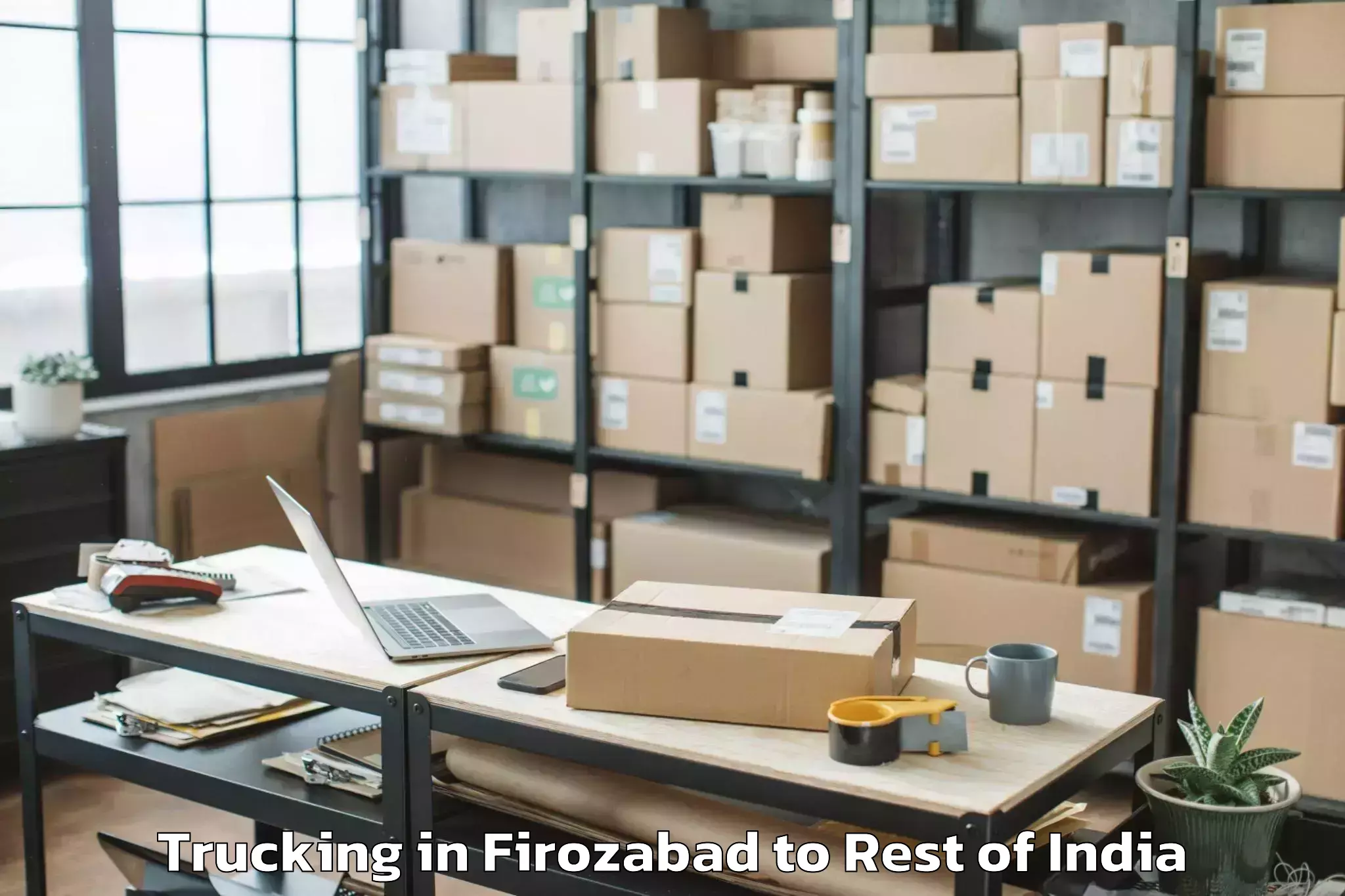 Reliable Firozabad to Alwarthirunagari Trucking